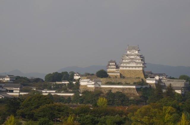 IMGP1782_640.jpg